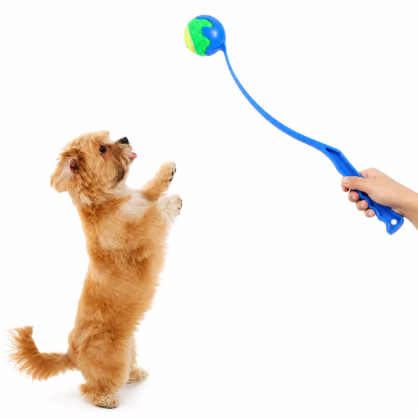 Lanza pelotas + pelota