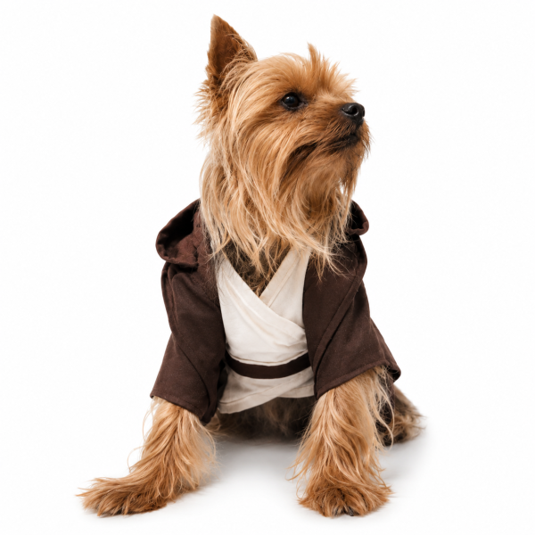 Disfraz Jedi Star Wars