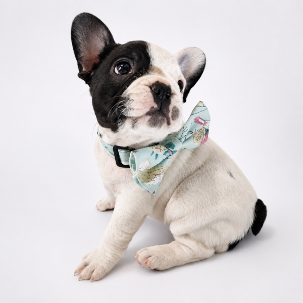Collar con moño