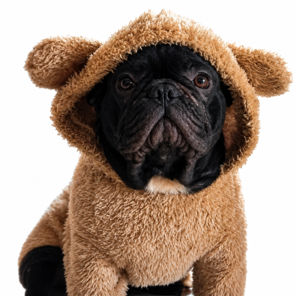 Buzo Beary